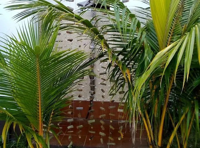 Maison Amantine Anse Royale